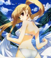 mahou_shoujo_lyrical_nanoha_-_lanyok_00229.jpg